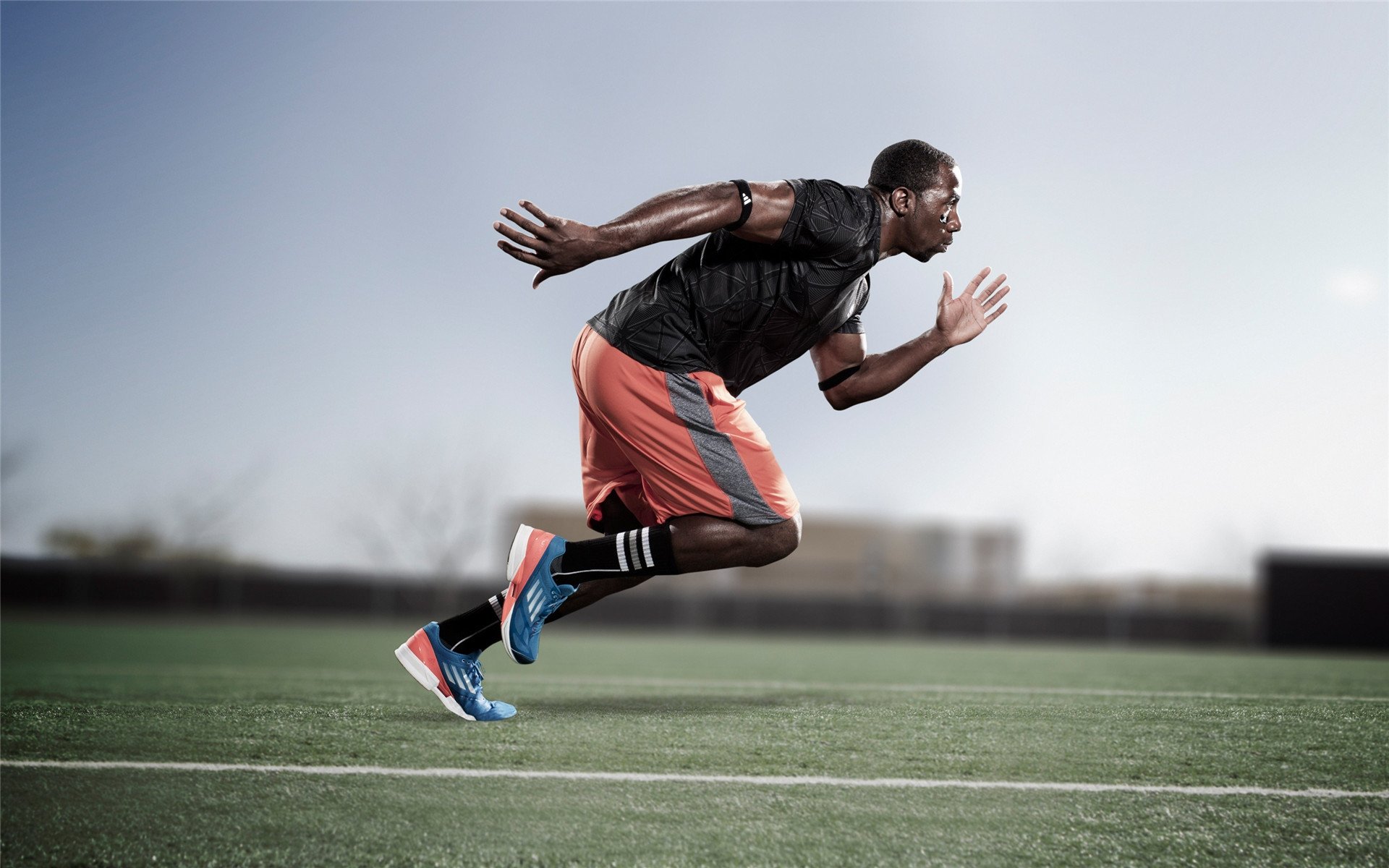 法拉利逆转威廉姆斯，诺里斯关键制胜，一场策略与勇气的经典对决